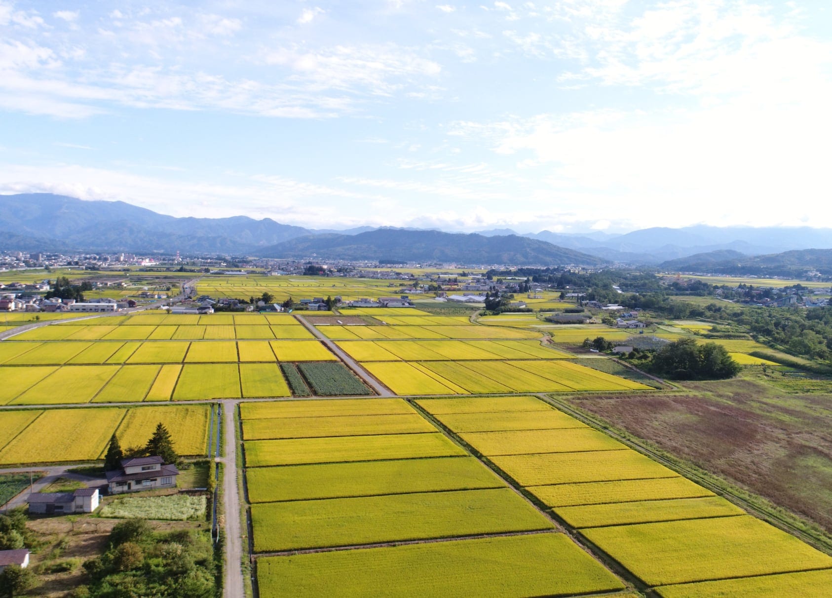 日本酒 十九代五左衛門的發源地 - 山形縣米澤市